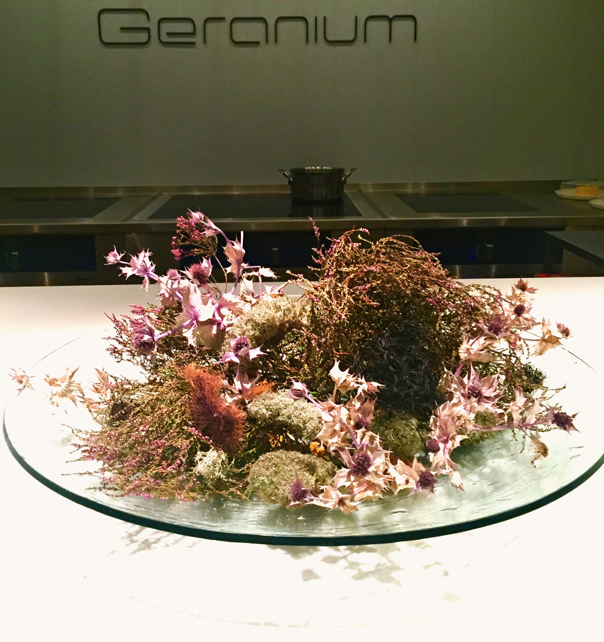 Geranium, Copenhagen
